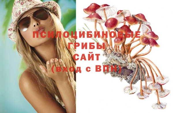 прущий лед Абаза