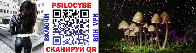 Галлюциногенные грибы Psilocybe  закладка  Агрыз 